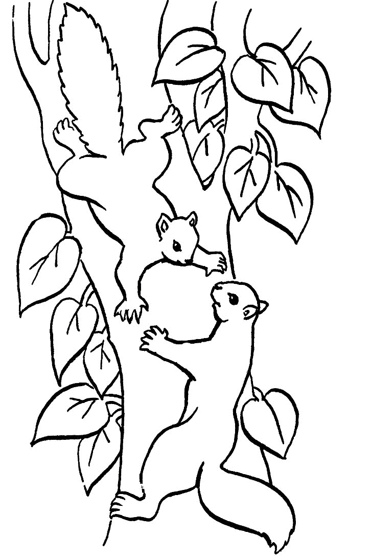 Árbol #27106