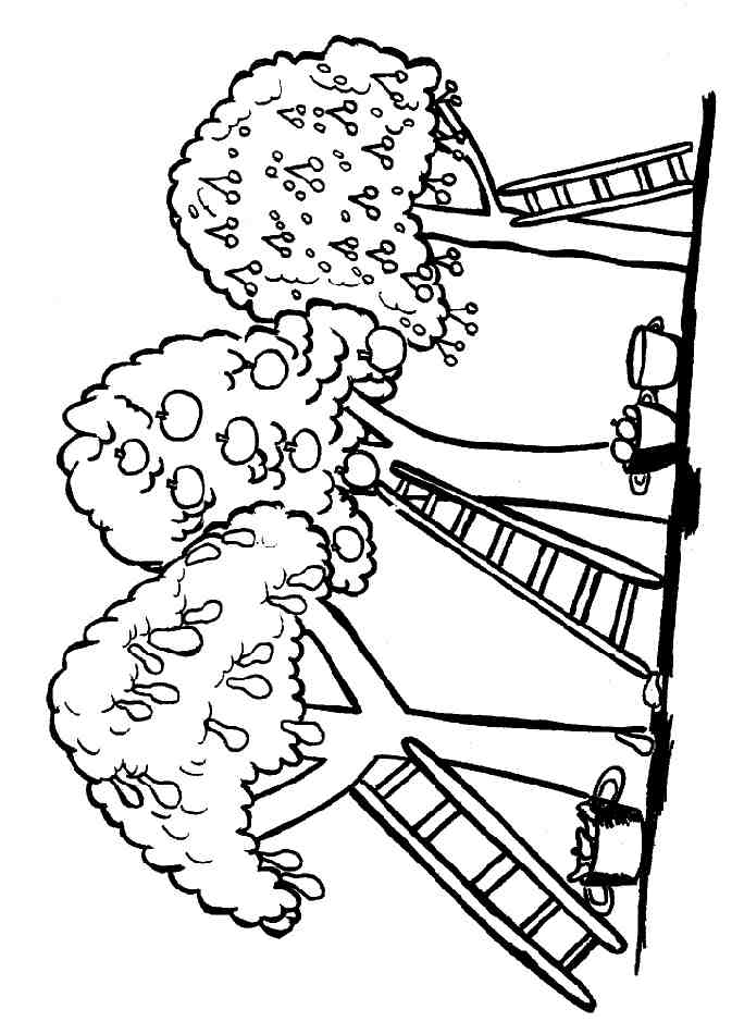 Árbol #27107