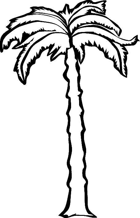 Árbol #27115