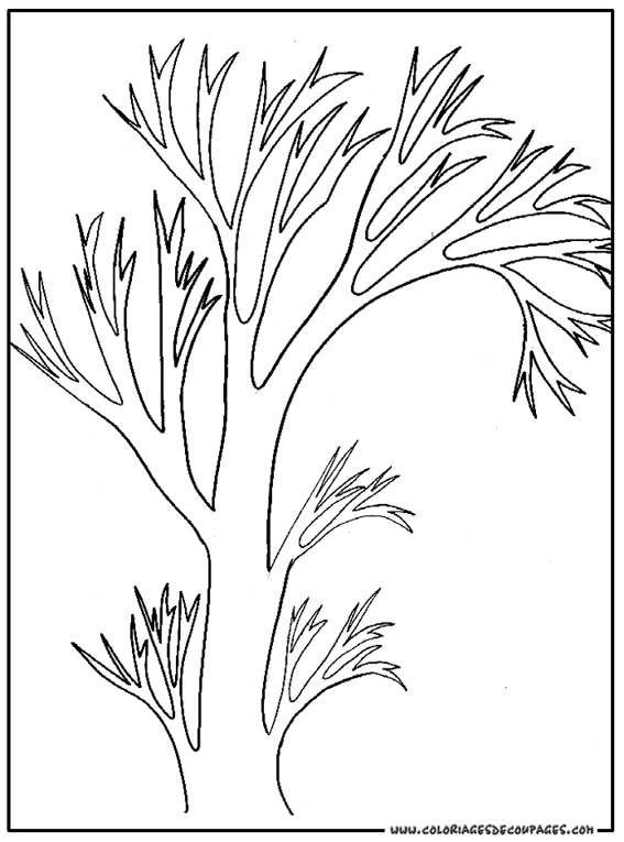 Árbol #27117