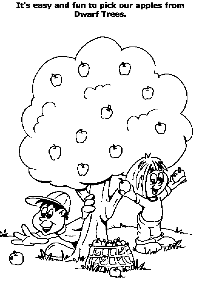 Árbol #27118