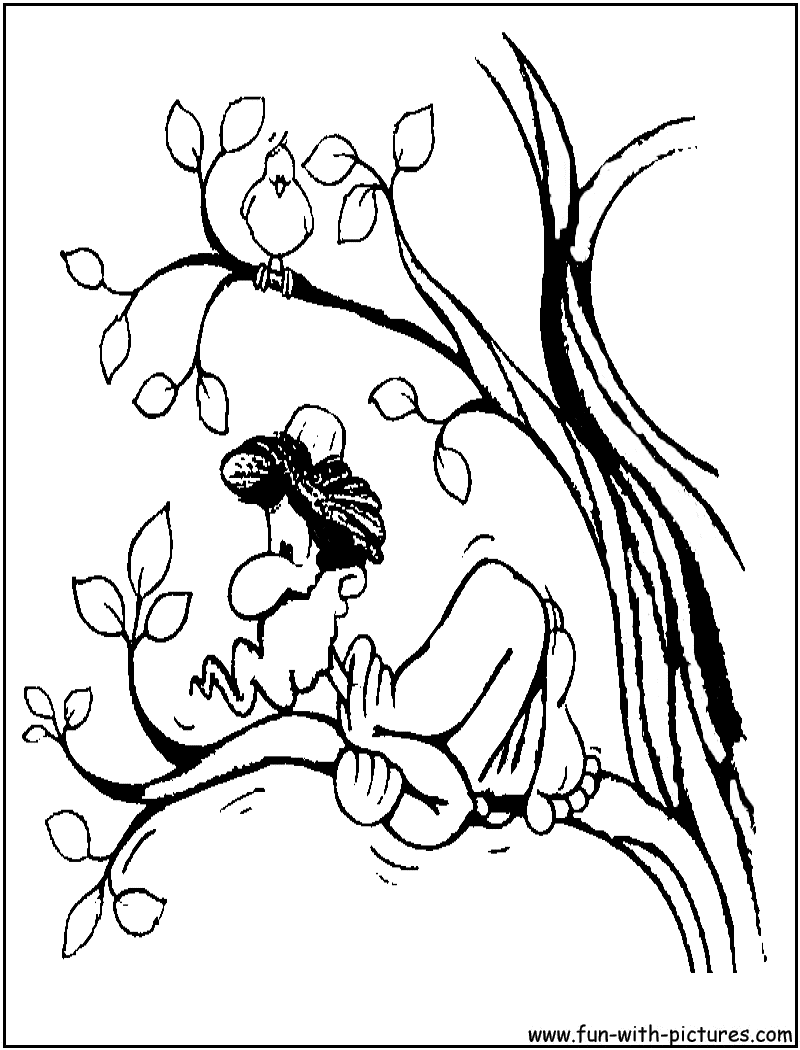 Árbol #27121