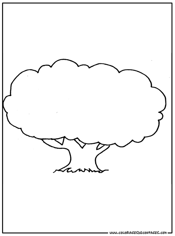 Árbol #27124