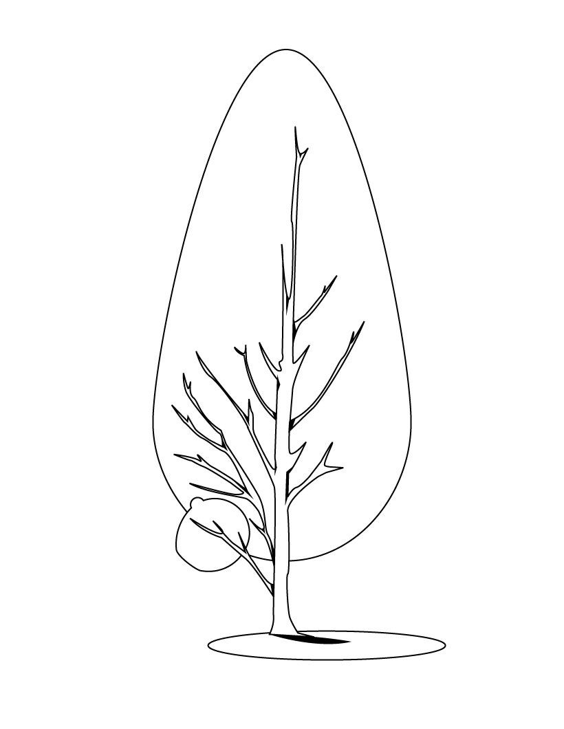 Árbol #27128