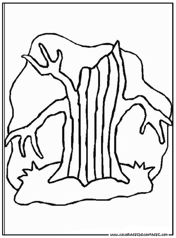 Árbol #27130