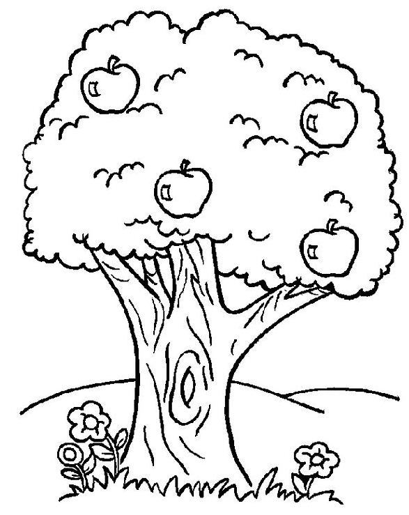 Árbol #26957