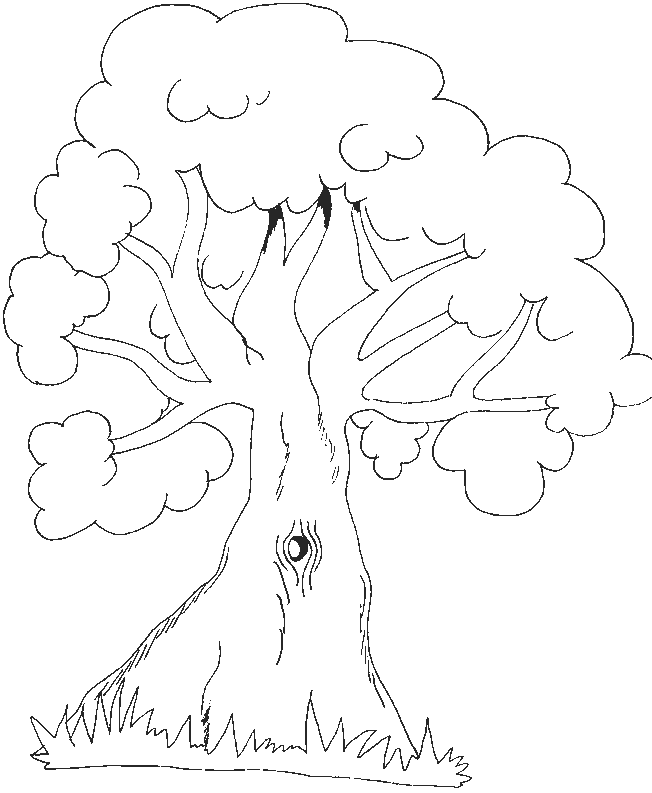 Árbol #26964