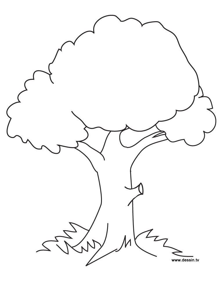 Árbol #26966
