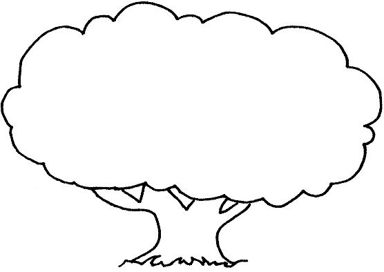 Árbol #26969