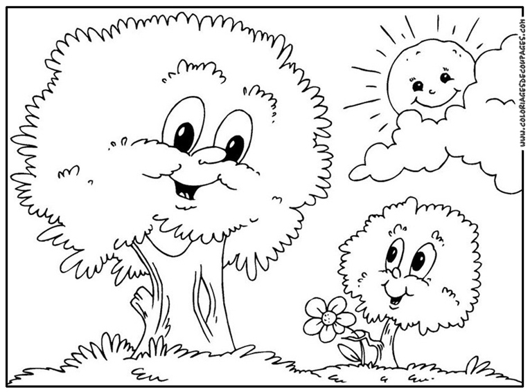 Árbol #26973