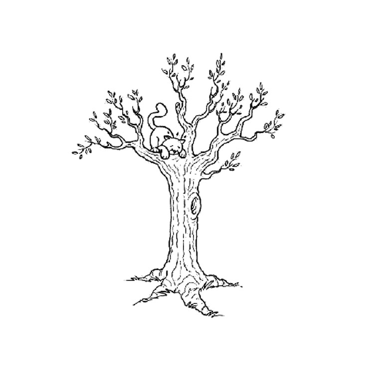Árbol #26976