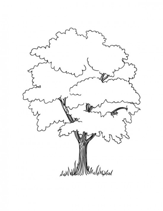 Árbol #26977