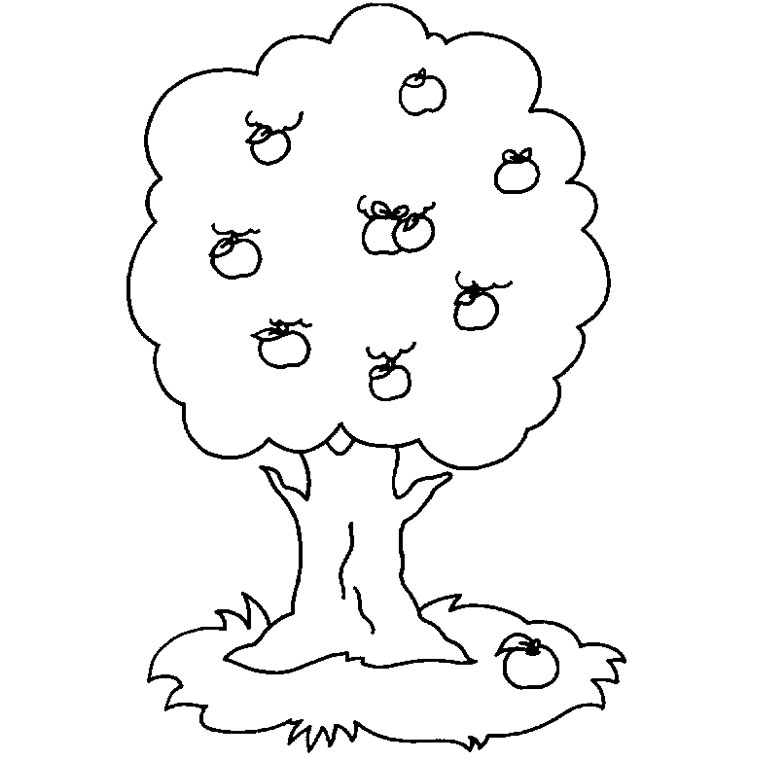 Árbol #26978