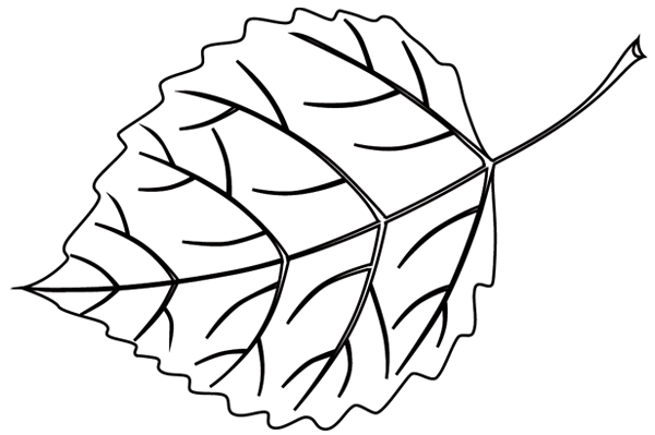 Árbol #26979