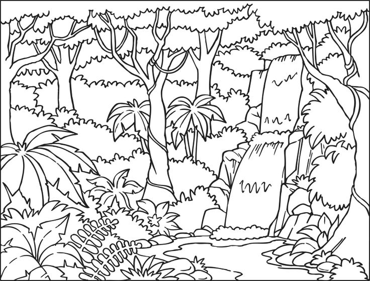 Bosque #27185