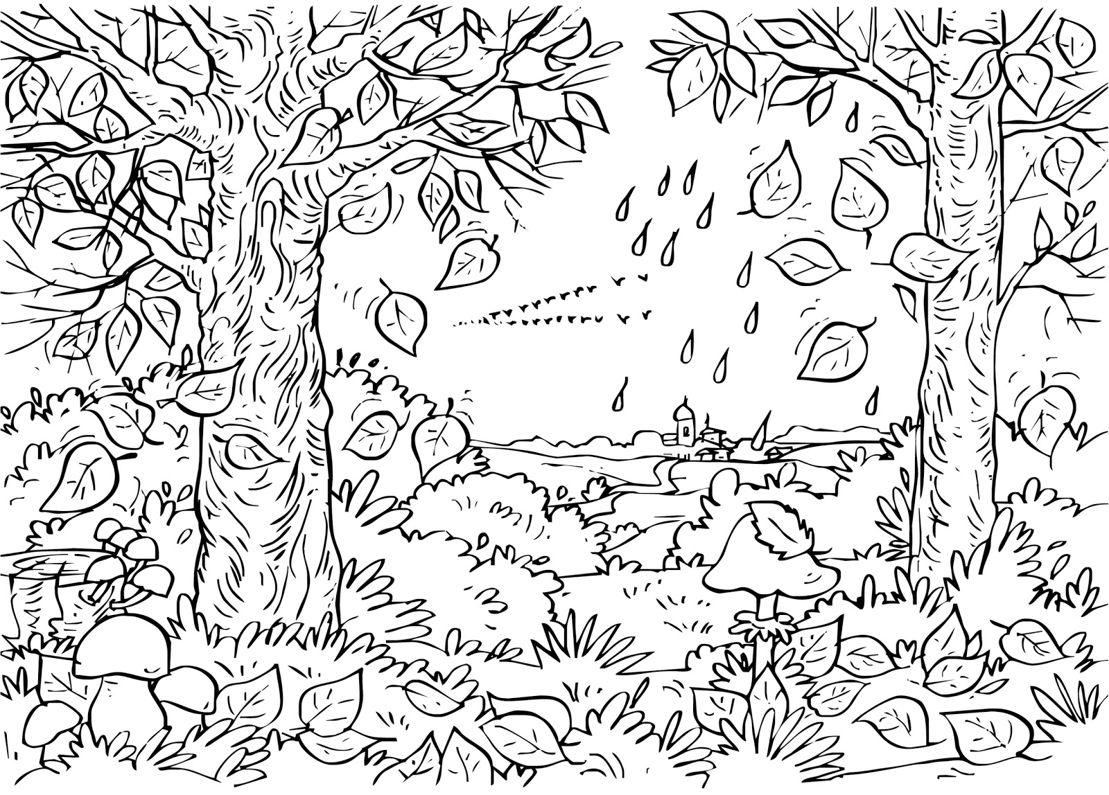 Bosque #27186