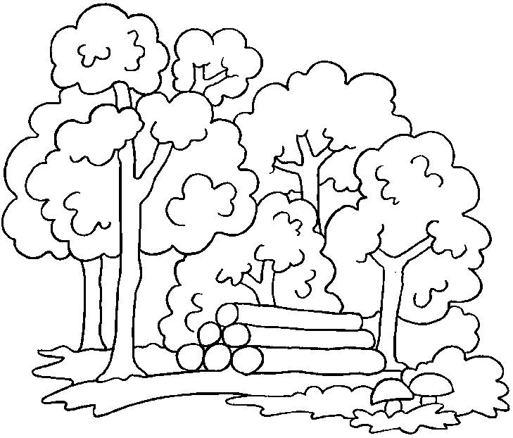 Bosque #27187