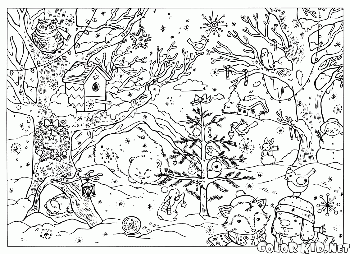 Bosque #27192