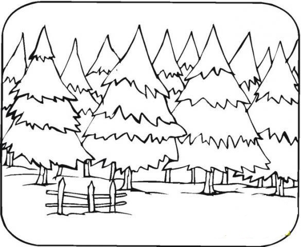 Bosque #27202