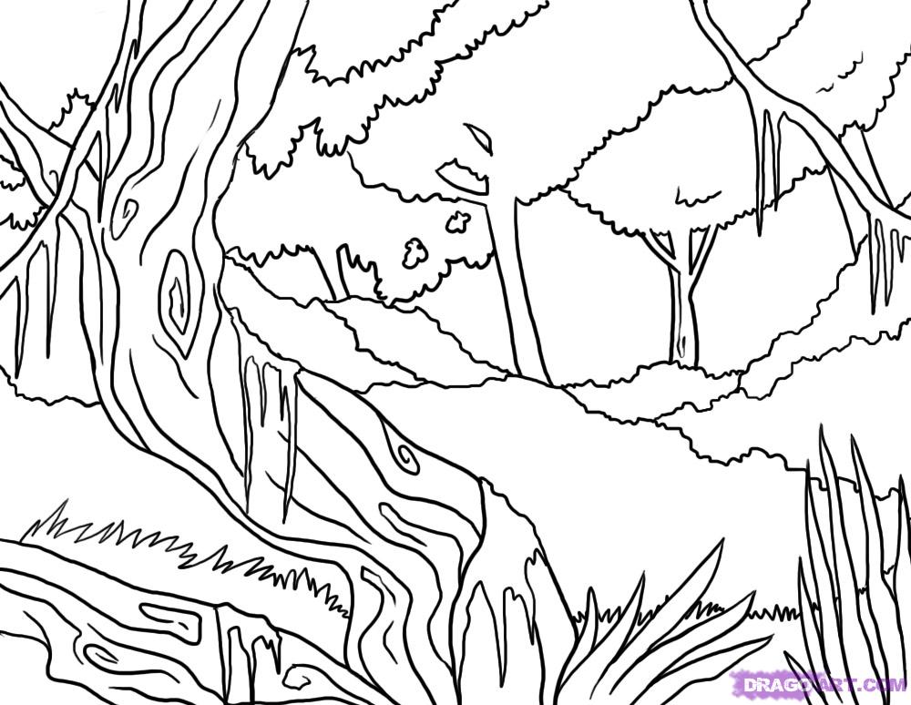 Bosque #27211