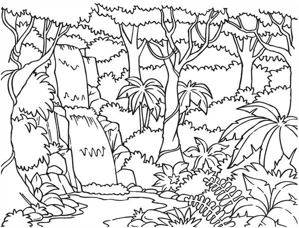 Cascada #27229