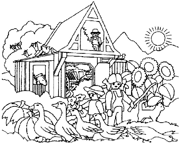 Campaña #27245