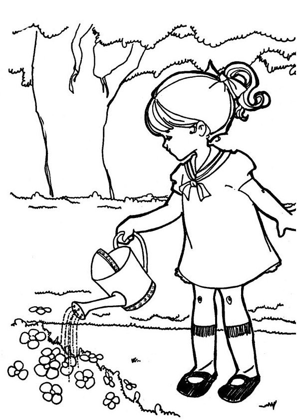 Campaña #27259