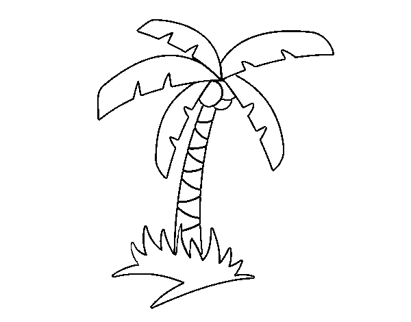 Cocotero #27297
