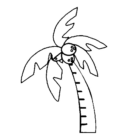 Cocotero #27301