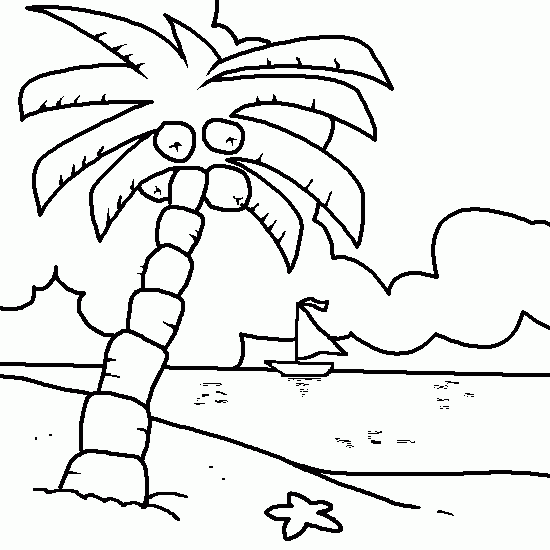 Cocotero #27302