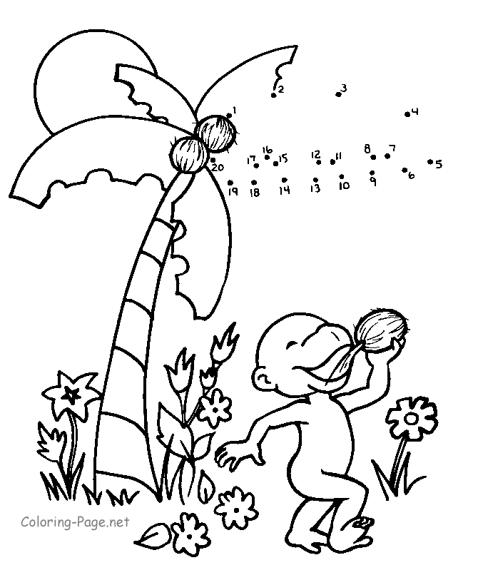 Cocotero #27312