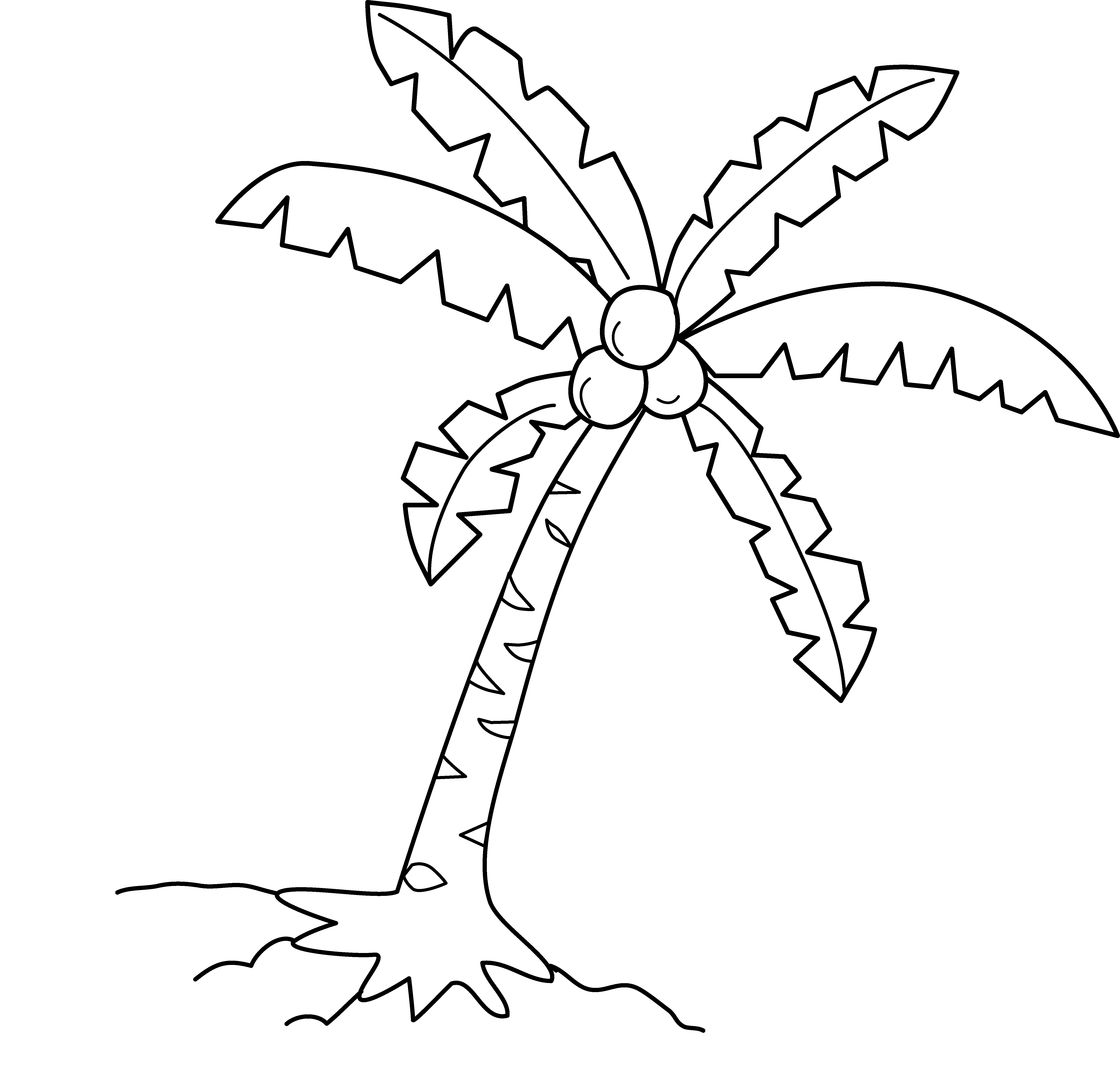 Cocotero #27314