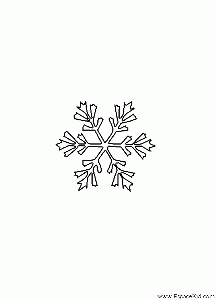 Copo de nieve #27442