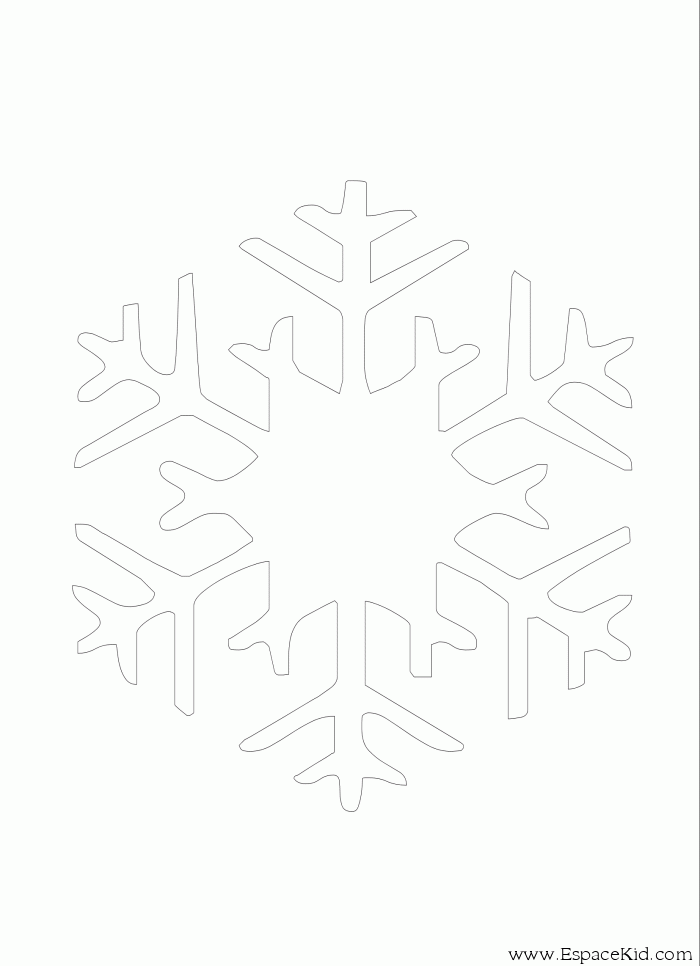 Copo de nieve #27453