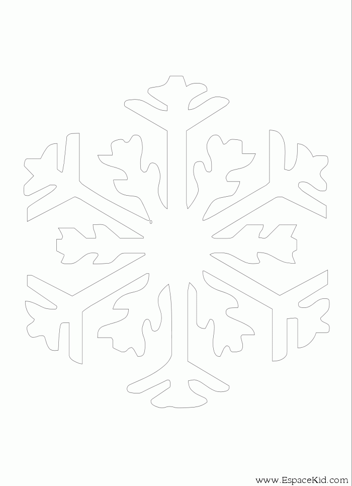 Copo de nieve #27475