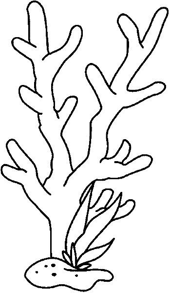Coral #27487
