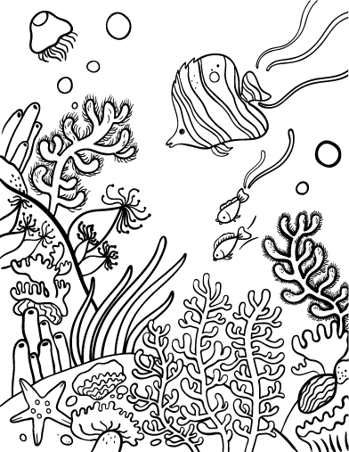Coral #27494