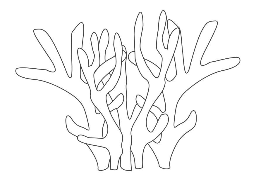 Coral #27499