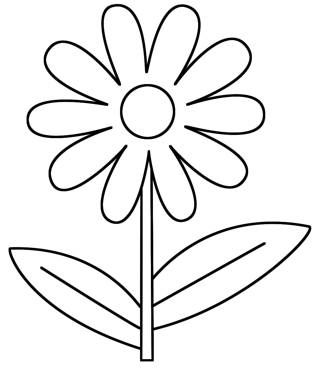 Flores #27616