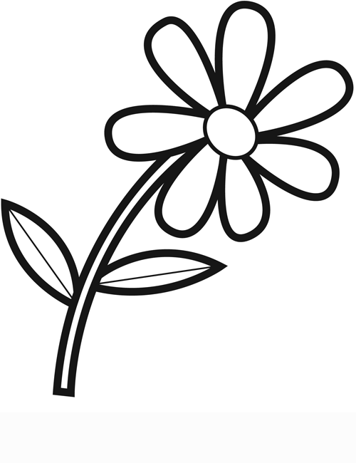 Flores #27617
