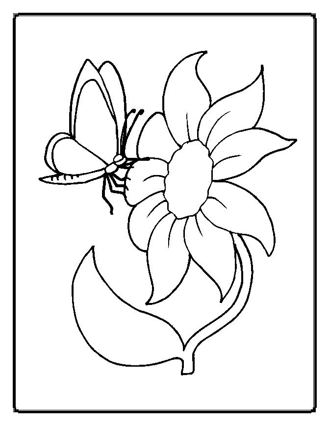 Flores #27620