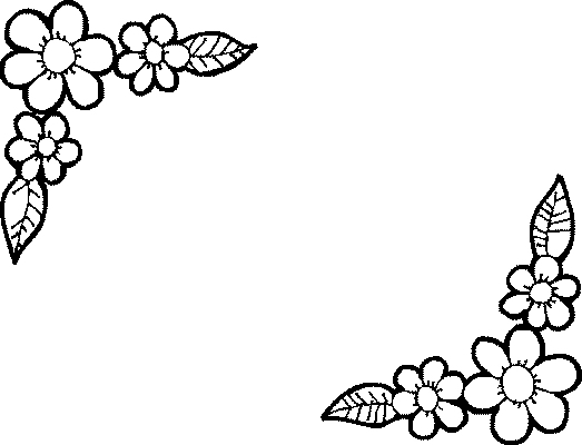 Flores #27622