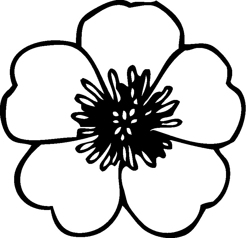 Flores #27623