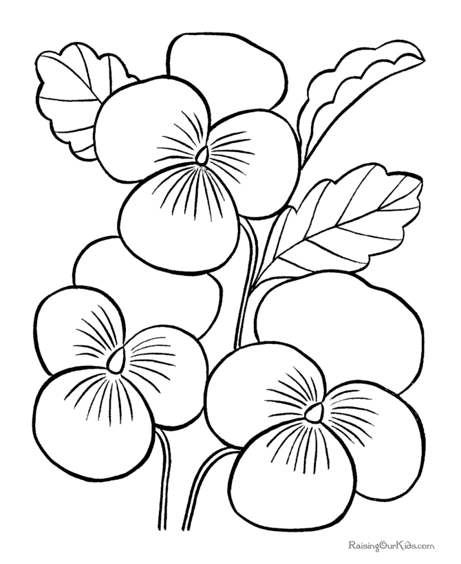 Flores #27625
