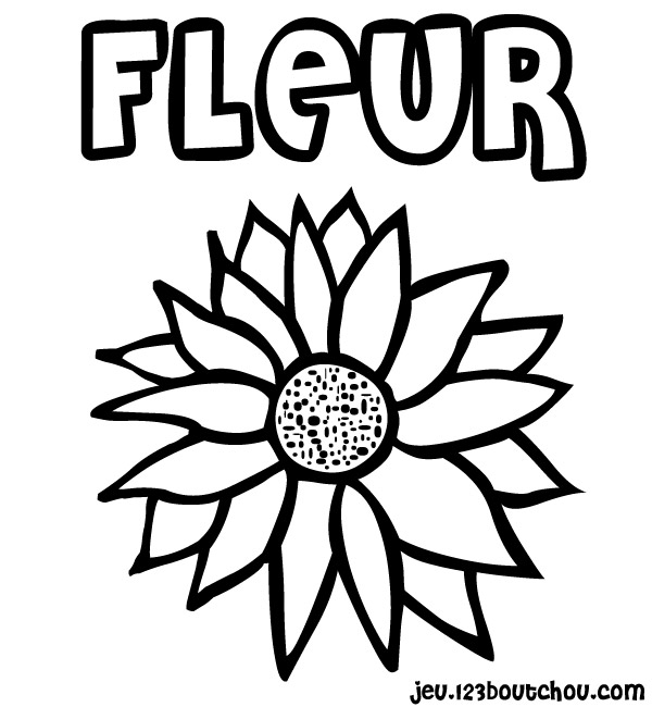 Flores #27626