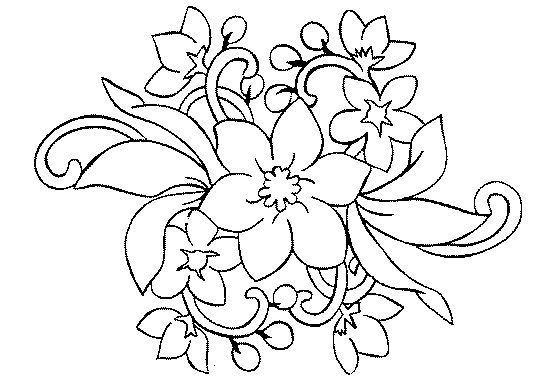 Flores #27628