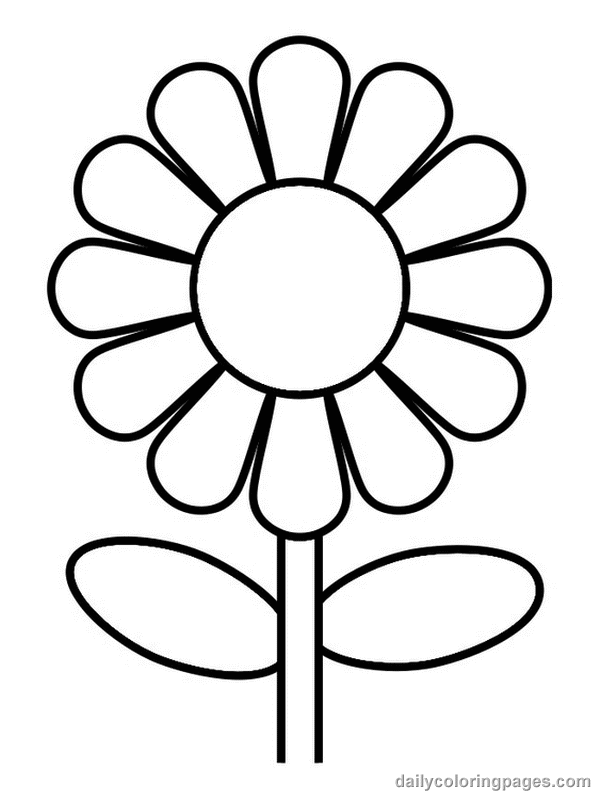 Flores #27636