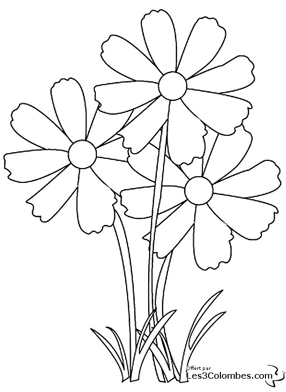 Flores #27639