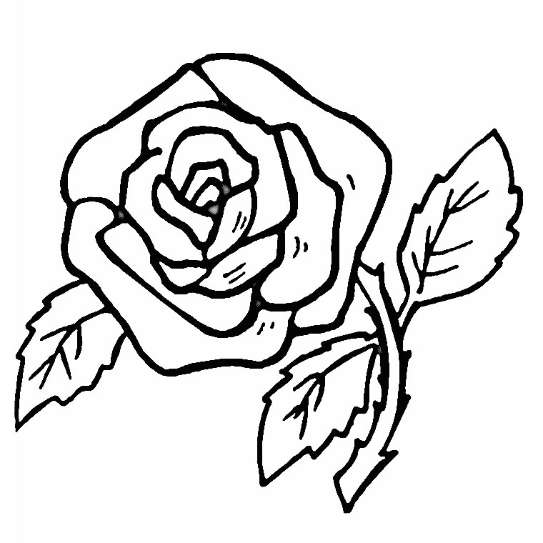 Flores #27642