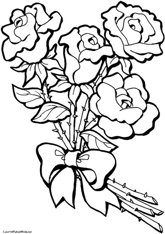 Flores #27656